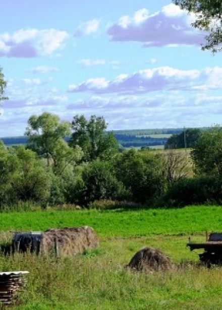 Здесь Родины моей начало. Краеведческая программа