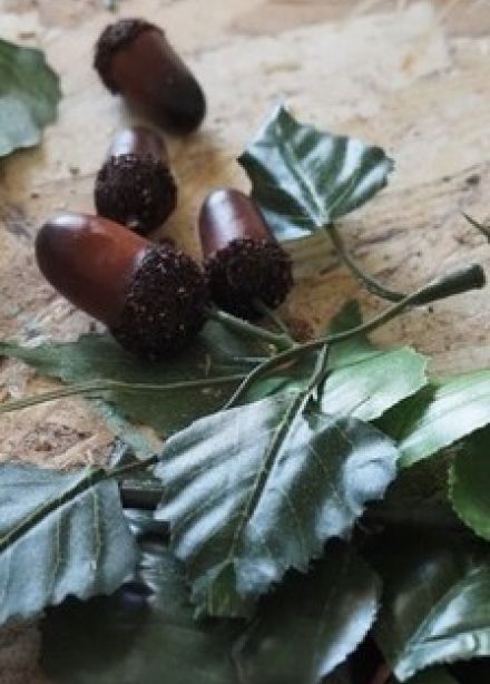 Переосмысли. Музейный экоурок