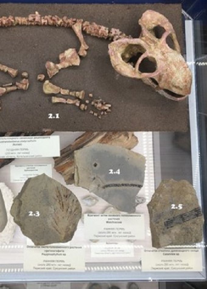 Путешествие вглубь времен: Интерактивное занятие