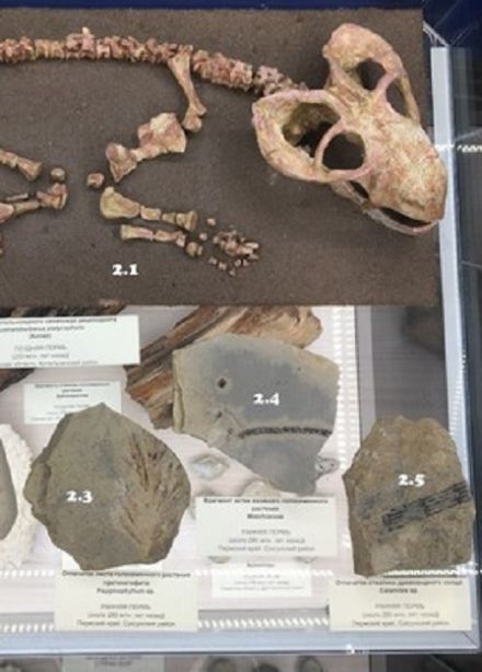 Путешествие вглубь времен: Интерактивное занятие