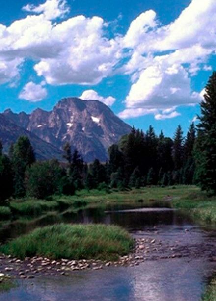 Заповедная Россия. Познавательный час