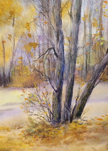 Природа родного края. Выставка