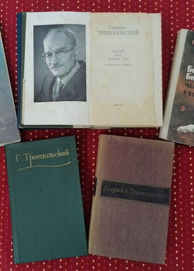 Научи сердце добру. Читательская конференция