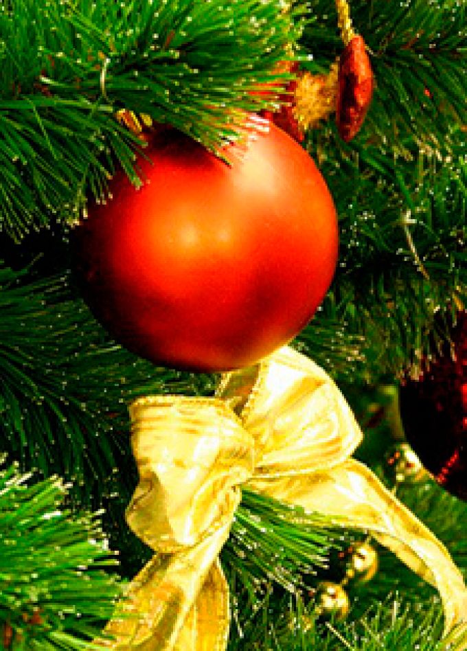 Вступаем дружно в Новый год. Библиомикс