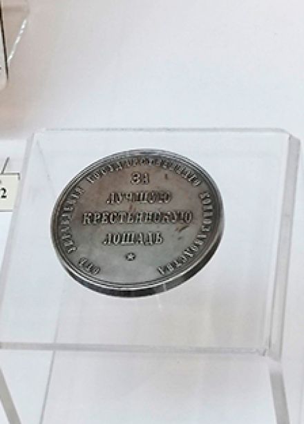 Под стук копыт: лошадь в истории России. Интерактивное занятие